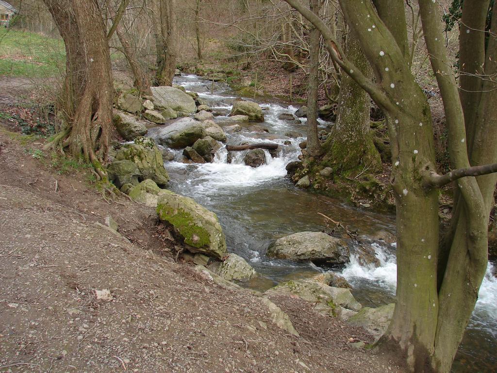 Gite Du Ninglinspo Aywaille Ruang foto